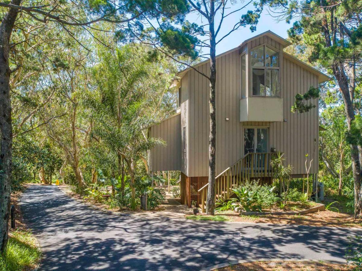 The Oasis Apartments And Treetop Houses Byron Bay Eksteriør billede
