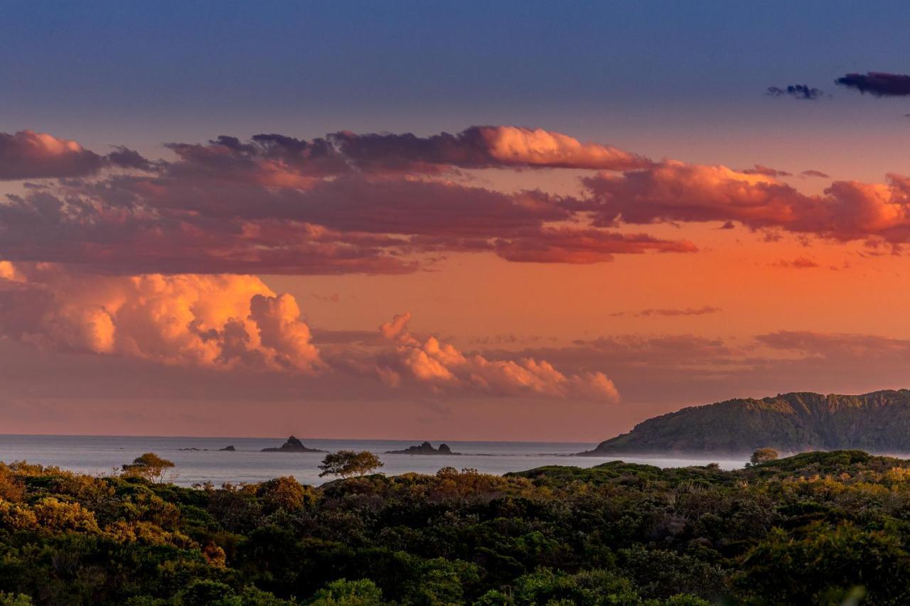 The Oasis Apartments And Treetop Houses Byron Bay Eksteriør billede