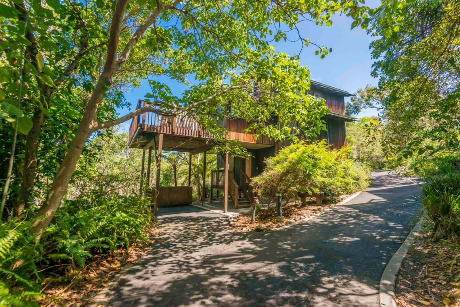 The Oasis Apartments And Treetop Houses Byron Bay Eksteriør billede
